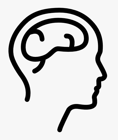 Illustration of the brain